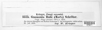 Breviappendix rubi image